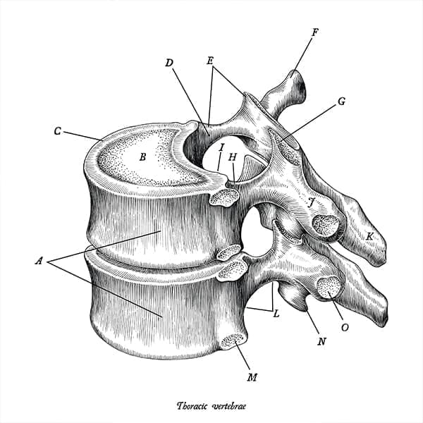 Cirugías correctivas de deformaciones congénitas o adquiridas de la columna